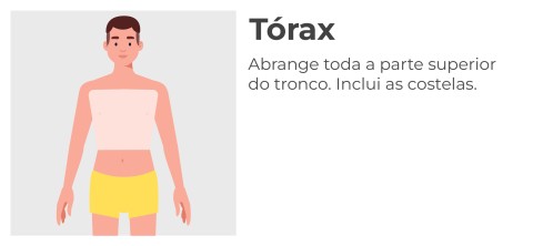 Tórax